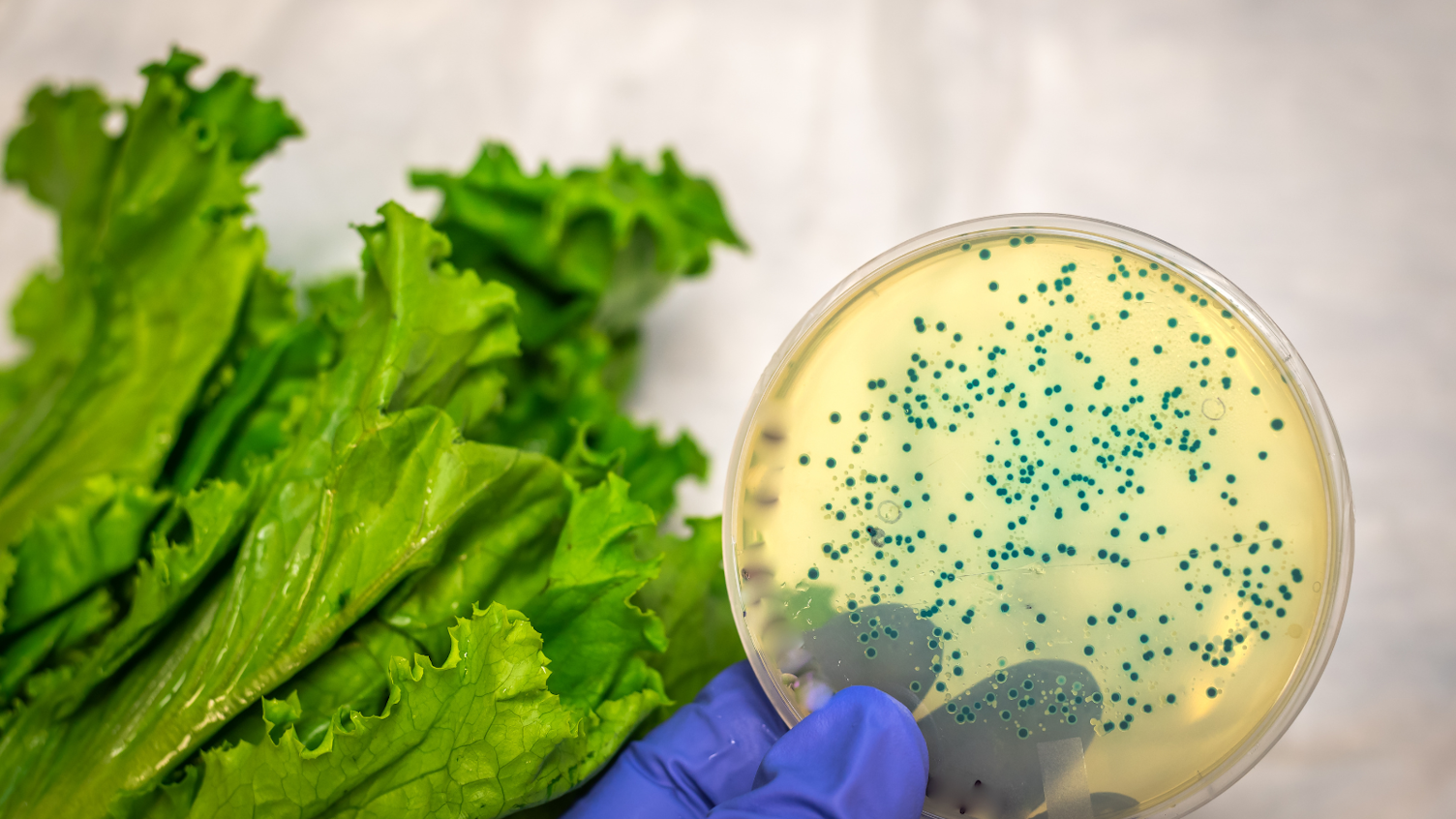 Zanieczyszczenia chemiczne w żywności mogą stwarzać zagrożenie dla zdrowia.